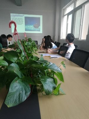 江蘇景寧信息技術 專業信息技術咨詢的新力量